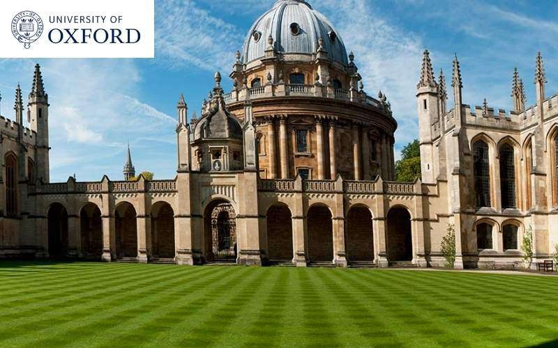 International student studying in a UK university library