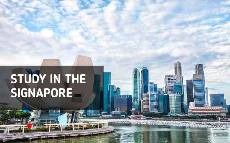 International student studying in a Singapore university library
