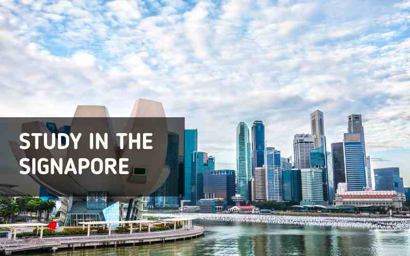 International student studying in a Singapore university library
