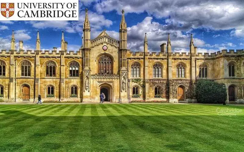 online ESAT course, ESAT crash course, ESAT course