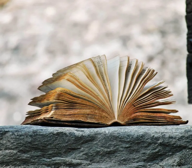 Student learning 5 helpful essay writing tips with guidance from Quest For Success tutor