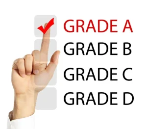 IBDP core shape diagram showing TOK, EE, and CAS explained by Quest For Success