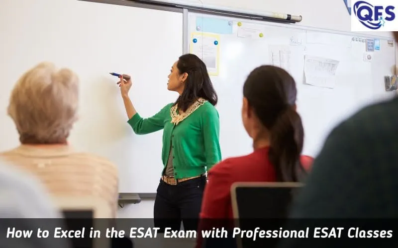 Student preparing for the ESAT exam through online ESAT classes at Quest For Success