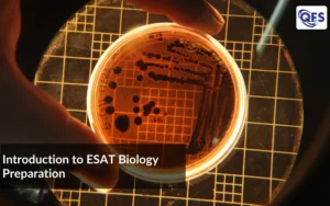 Student preparing for ESAT Biology using structured revision notes and practice MCQs