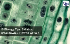 IB Biology Tips syllabus breakdown and strategies to get a 7 with microscopic plant cells background
